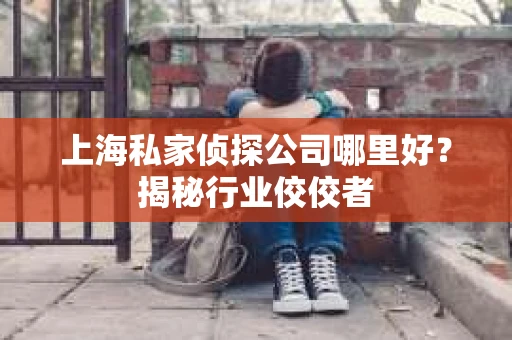 上海私家侦探公司哪里好？揭秘行业佼佼者