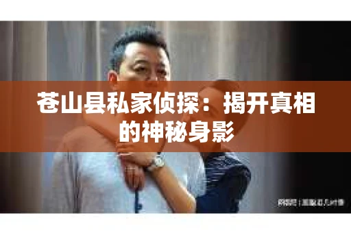 苍山县私家侦探：揭开真相的神秘身影