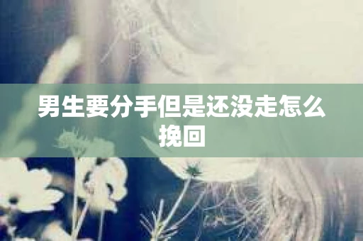 男生要分手但是还没走怎么挽回