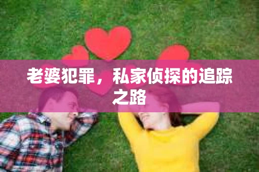 老婆犯罪，私家侦探的追踪之路