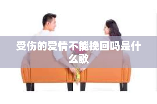 受伤的爱情不能挽回吗是什么歌