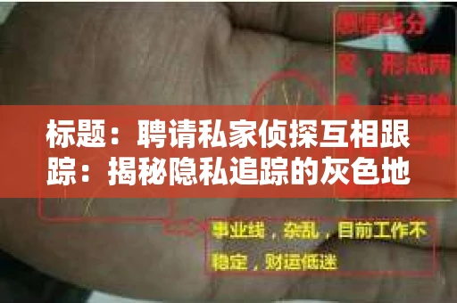 标题：聘请私家侦探互相跟踪：揭秘隐私追踪的灰色地带