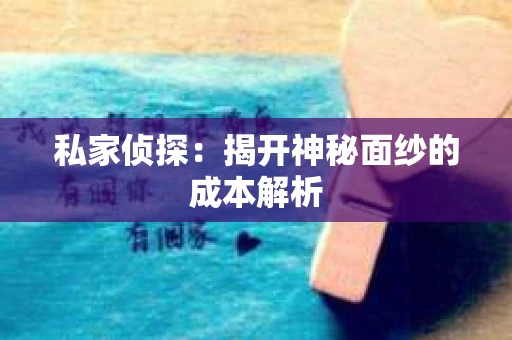 私家侦探：揭开神秘面纱的成本解析