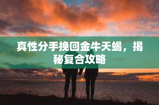 真性分手挽回金牛天蝎，揭秘复合攻略