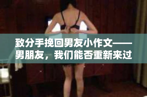 致分手挽回男友小作文——男朋友，我们能否重新来过