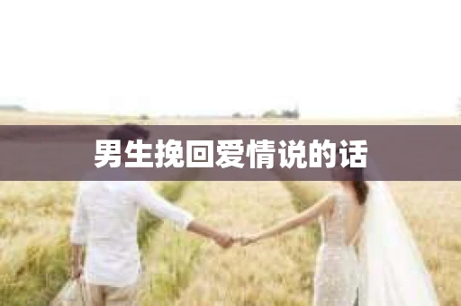 男生挽回爱情说的话