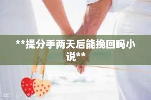 **提分手两天后能挽回吗小说**