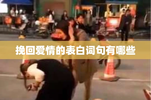 挽回爱情的表白词句有哪些