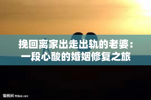 挽回离家出走出轨的老婆：一段心酸的婚姻修复之旅