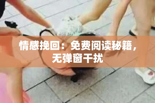 情感挽回：免费阅读秘籍，无弹窗干扰