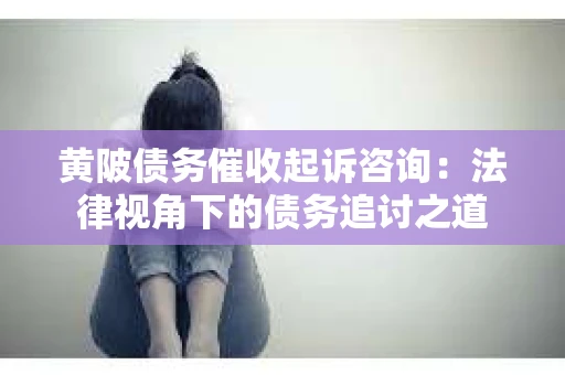 黄陂债务催收起诉咨询：法律视角下的债务追讨之道