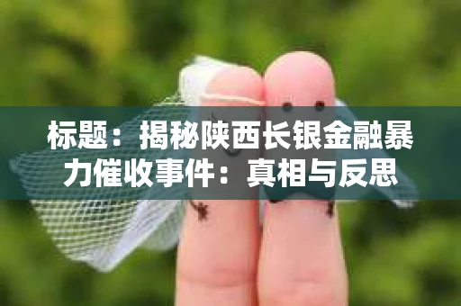 标题：揭秘陕西长银金融暴力催收事件：真相与反思