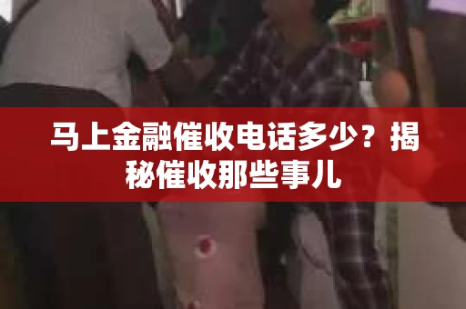 马上金融催收电话多少？揭秘催收那些事儿