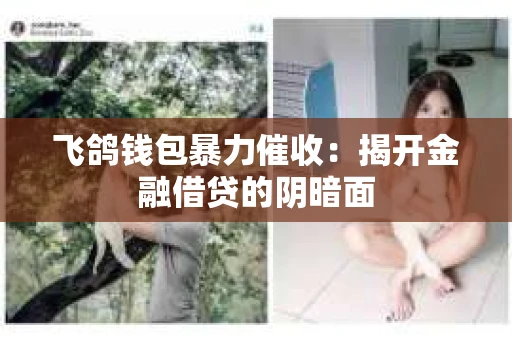 飞鸽钱包暴力催收：揭开金融借贷的阴暗面