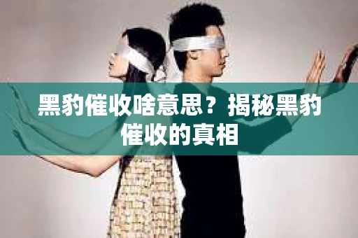 黑豹催收啥意思？揭秘黑豹催收的真相