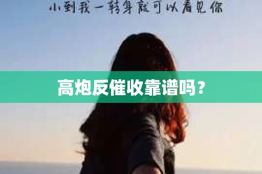 高炮反催收靠谱吗？