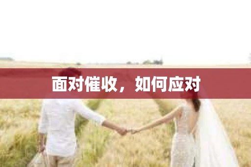 面对催收，如何应对