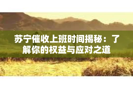 苏宁催收上班时间揭秘：了解你的权益与应对之道