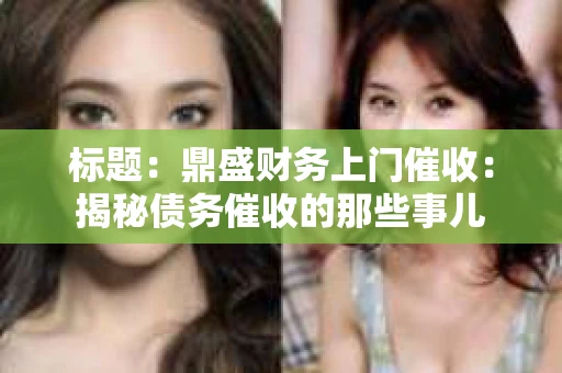 标题：鼎盛财务上门催收：揭秘债务催收的那些事儿
