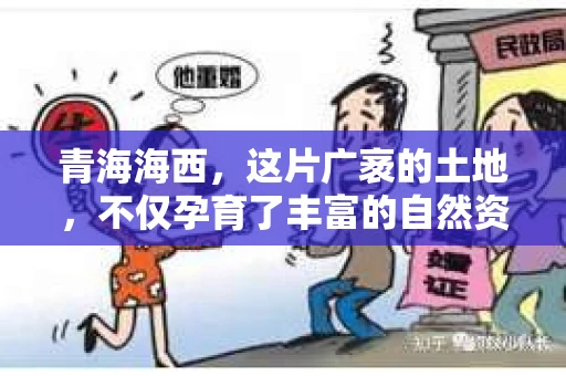 青海海西，这片广袤的土地，不仅孕育了丰富的自然资源，也承载着许多人的梦想与希望。然而，在现实生活中，总有一些债务问题困扰着人们。那么，当我们在青海海西遇到催收问题时，是哪家机构在负责呢？今天，就让我们一起来揭开这个谜底。