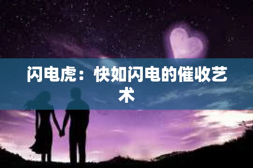 闪电虎：快如闪电的催收艺术