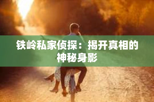铁岭私家侦探：揭开真相的神秘身影