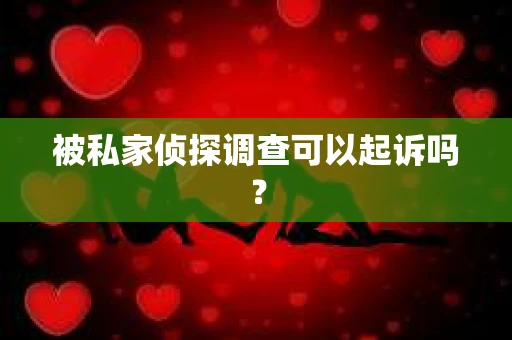 被私家侦探调查可以起诉吗？