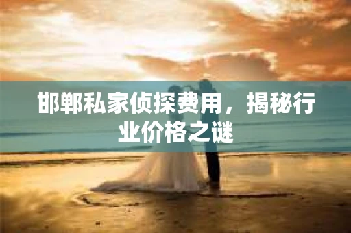 邯郸私家侦探费用，揭秘行业价格之谜
