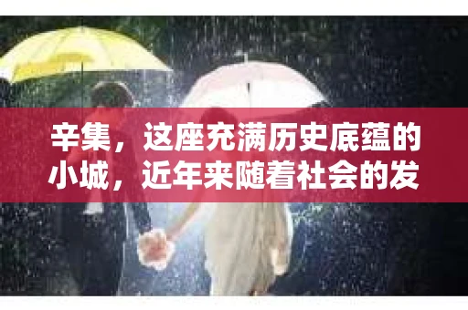 辛集，这座充满历史底蕴的小城，近年来随着社会的发展，人们的生活节奏加快，对于私家侦探机构的需求也逐渐增多。那么，辛集有没有私家侦探机构呢？今天，我就来给大家揭开这个谜底。