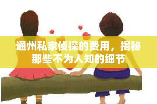 通州私家侦探的费用，揭秘那些不为人知的细节