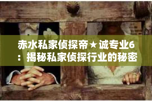 赤水私家侦探帝★诚专业6：揭秘私家侦探行业的秘密角落