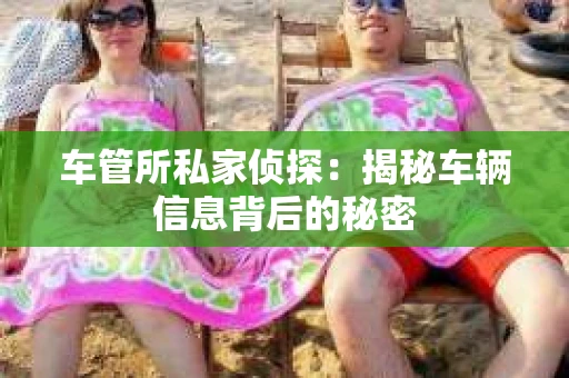 车管所私家侦探：揭秘车辆信息背后的秘密
