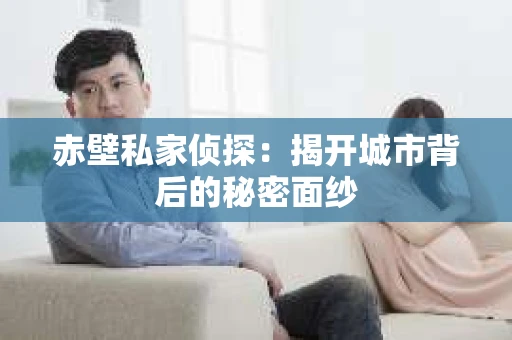 赤壁私家侦探：揭开城市背后的秘密面纱
