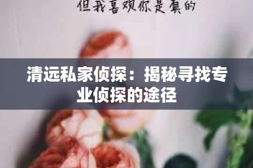 清远私家侦探：揭秘寻找专业侦探的途径
