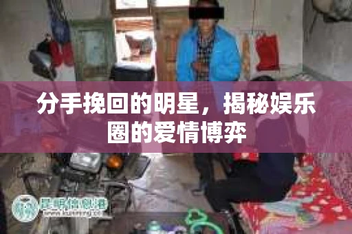 分手挽回的明星，揭秘娱乐圈的爱情博弈