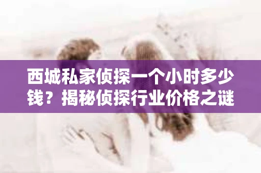 西城私家侦探一个小时多少钱？揭秘侦探行业价格之谜