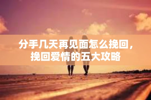 分手几天再见面怎么挽回，挽回爱情的五大攻略