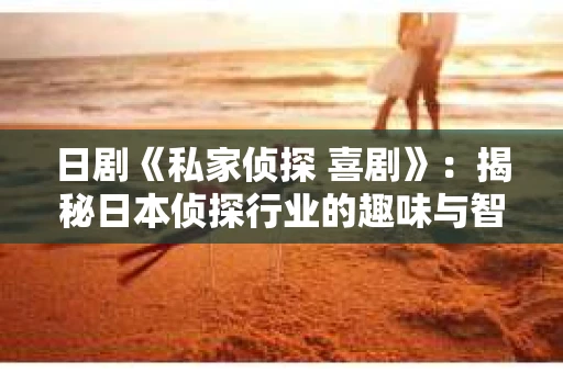 日剧《私家侦探 喜剧》：揭秘日本侦探行业的趣味与智慧